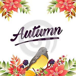 Autumn poinsettia birdsong border vivid color photo