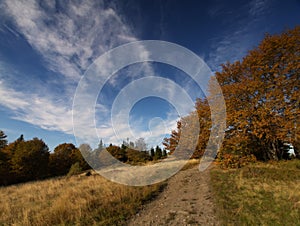 Autumn in Poland