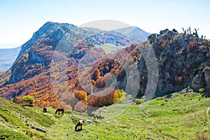 Autumn in Pollino National Park, southern Italy