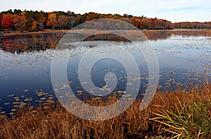 Autumn Pond