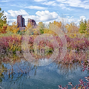 Autumn Pond Landscape