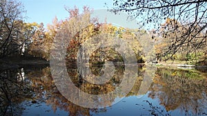 Autumn pond and light wind