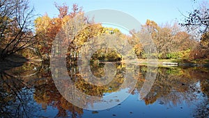 Autumn pond still background view