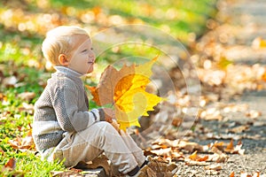 Autumn portrait child with yellow maple leaves on Yellow Background.