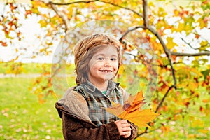 Autumn portrait of cute little boy. Child with leaf in autumn park.