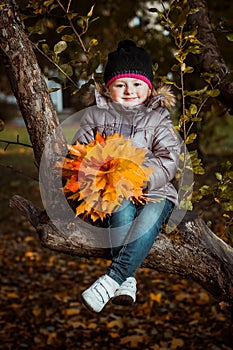 Autumn portrait of cute smiling little girl with maple leaves
