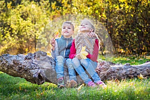 Autumn portrait of happy kids, brother and sister