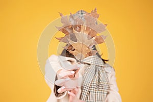 Autumn portrait happy smiling woman holding fall maple leaves near face over studio isolated background. Autumn fall