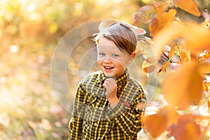 Autumn portrait of a little fair-haired smiling boy