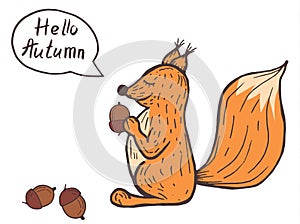 Autumn postcard with squirrel, acorn, nut. Hand draw botanic vector stock illustration, EPS 10.