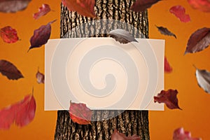 Autumn Poster photo