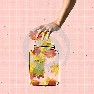 Autumn preservation. Putting autumn leaves on jar. Memory keeping