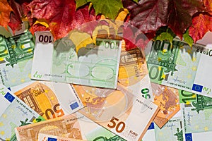 Prices fall concept. Background from euros and colored maple leaves