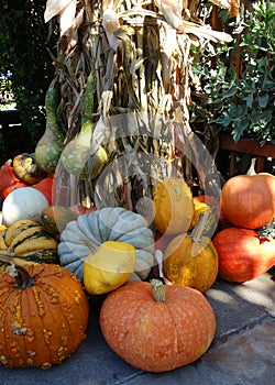 Autumn produce display at a farm in California