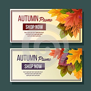 Autumn promo foliage vivid leaves