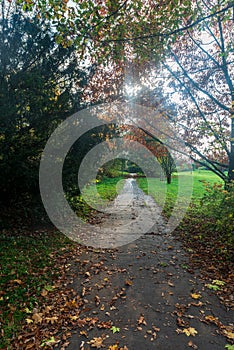 Autumn public park with footpaht, colorful trees and meadow