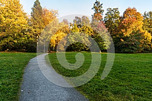 Autumn public park with meadow, path, colorful trees and clear sky