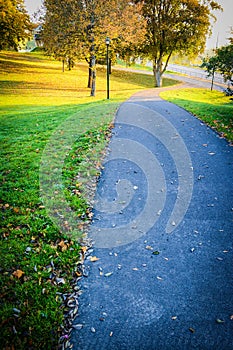 Autumn in the public park in Sweden walking to work