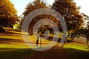 Autumn in the public park in Sweden walking to work