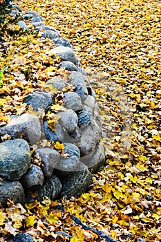 Autumn in the public park in Sweden walking to work