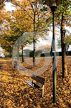 Autumn in the public park in Sweden walking to work