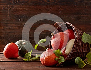 Autumn pumpkin background on wood