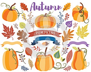 Autumn Pumpkin Collections Set