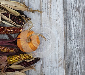 Autumn pumpkin and corn over white rustic wood background