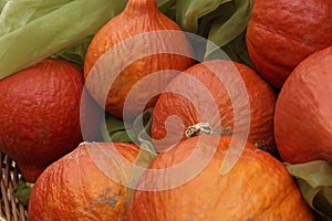 Autumn pumpkin decoration, closeup