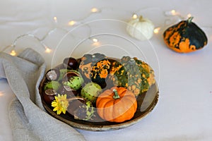 Autumn Pumpkin Decorations