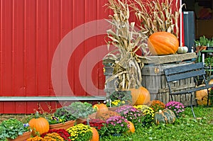 Autumn pumpkin display