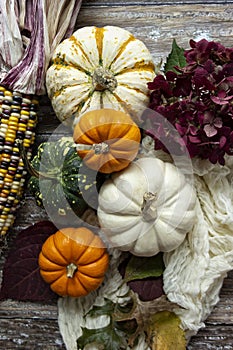 Autumn Pumpkin Flatlay