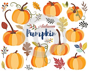 Autumn Pumpkin Harvest Collections Set