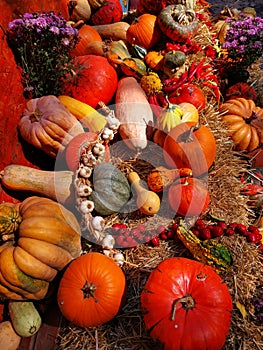 Autumn pumpkin harvest exposed on hay bales