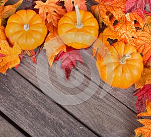 Autumn Pumpkin and Leaf Border