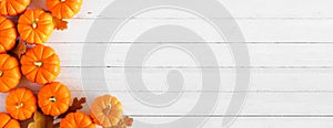 Autumn pumpkin and leaf side border banner over a white wood background
