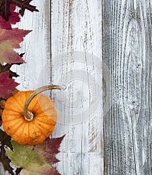 Autumn pumpkin with maple and oak leaves over white rustic wood background