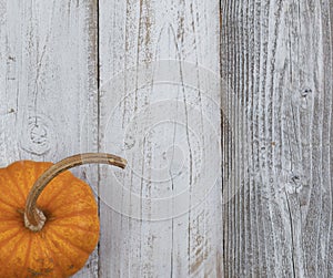 Autumn pumpkin over white rustic wood background