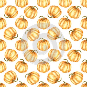 Autumn pumpkin seamless pattern. Orange fall pumpkin harvest ornament on white background.