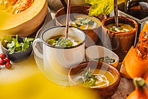 Autumn pumpkin soup puree with cream in cups, the autumn scenery