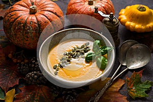 Autumn pumpkin spice soup with pumpkin seeds and olive oil, top view