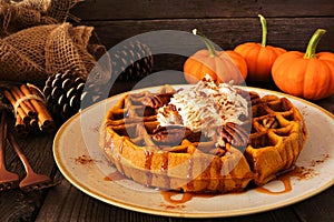 Autumn pumpkin spice waffle with whipped topping, caramel and pecans. Table scene against dark wood.