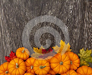 Autumn Pumpkin Thanksgiving Background