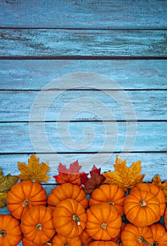 Autumn Pumpkin Thanksgiving Background