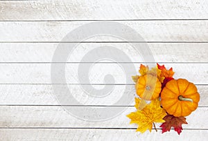 Autumn Pumpkin Thanksgiving Background