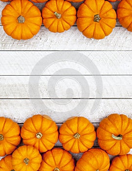 Autumn Pumpkin Thanksgiving Background