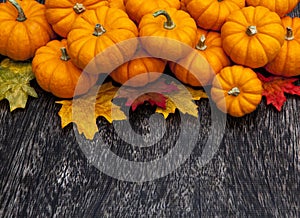 Autumn Pumpkin Thanksgiving Background