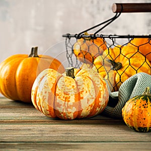 Autumn pumpkin thanksgiving background