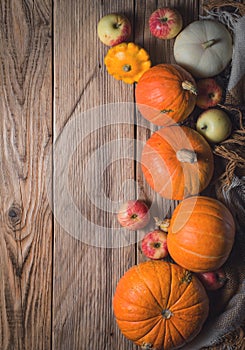 Autumn Pumpkin Thanksgiving Background