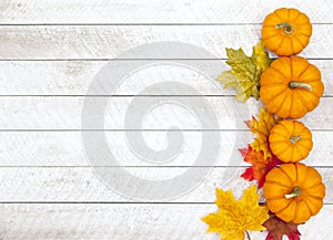 Autumn Pumpkin Thanksgiving Background